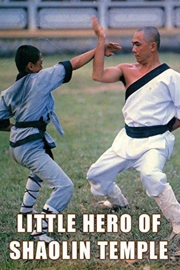 Little Ninja Heroes Poster