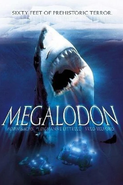 Megalodon