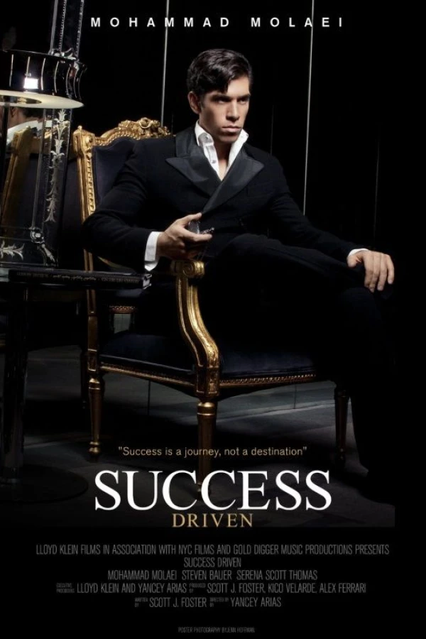 Success Driven Poster