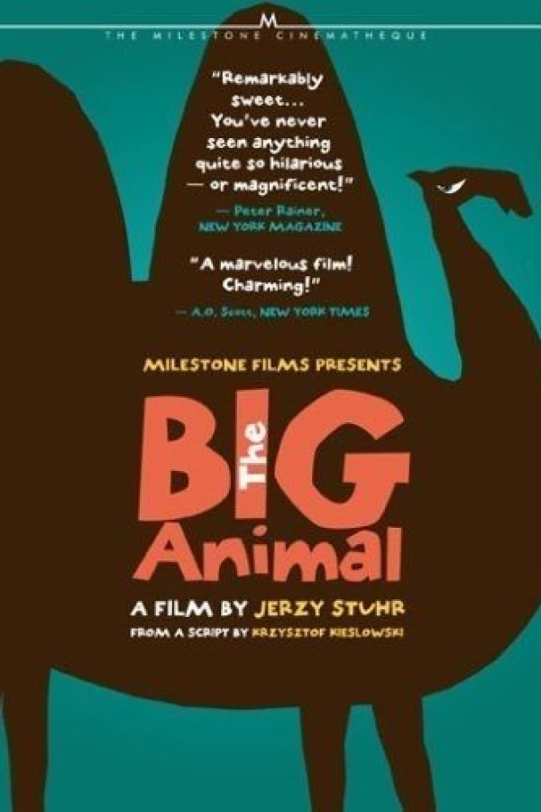 Big Animal Poster