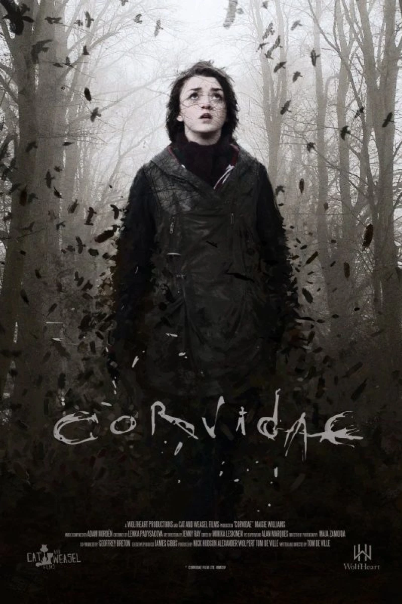 Corvidae Poster