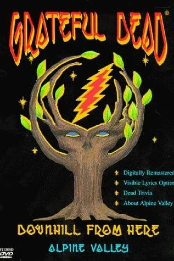 Grateful Dead: Downhill from Here Poster