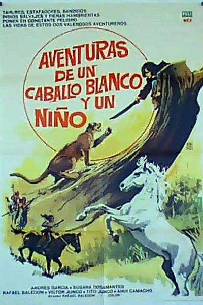 Aventuras de un caballo blanco y un niño