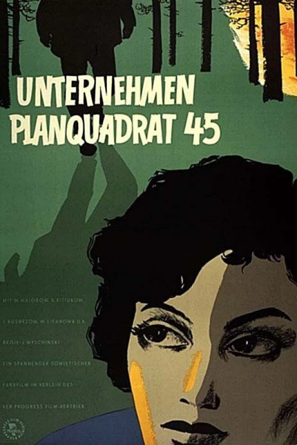 In the Square 45 Poster