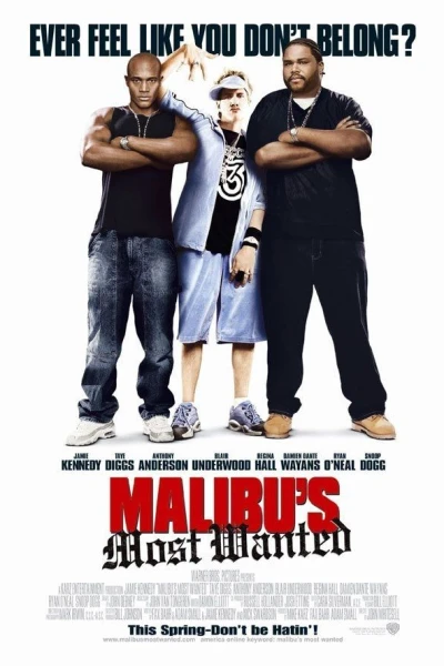 Malibus most wanted