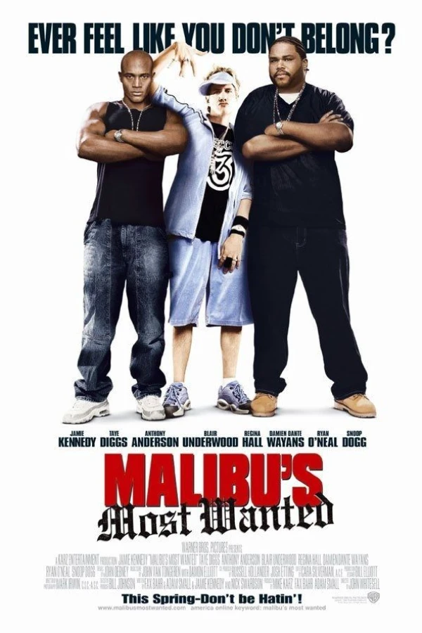 Malibus most wanted Poster