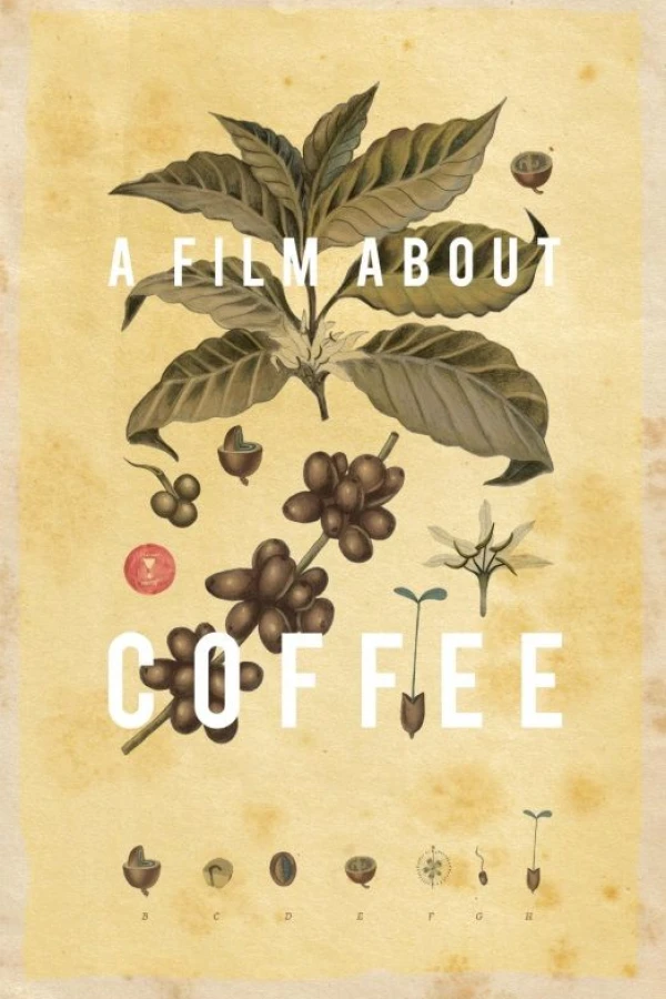 A Film About Coffee Poster