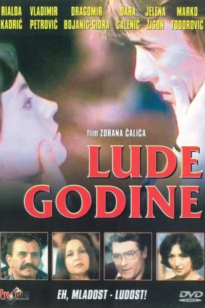 Lude godine