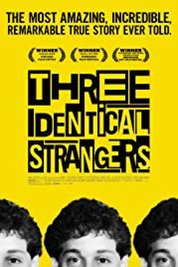 Three Identical Strangers Poster