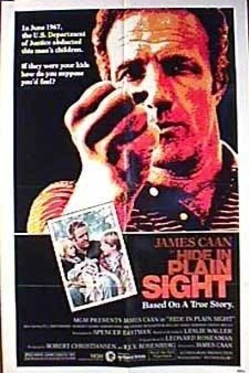 Hide in Plain Sight Poster