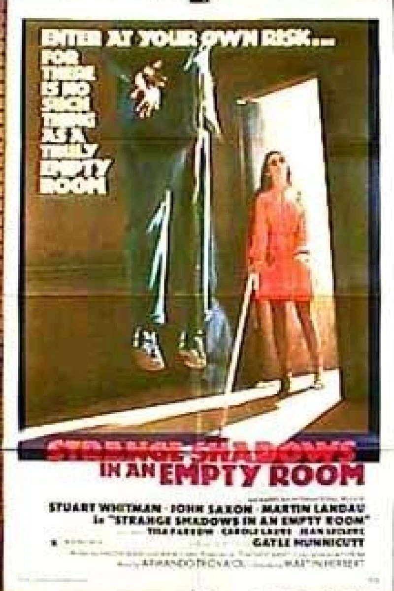 Strange Shadows in an Empty Room Poster