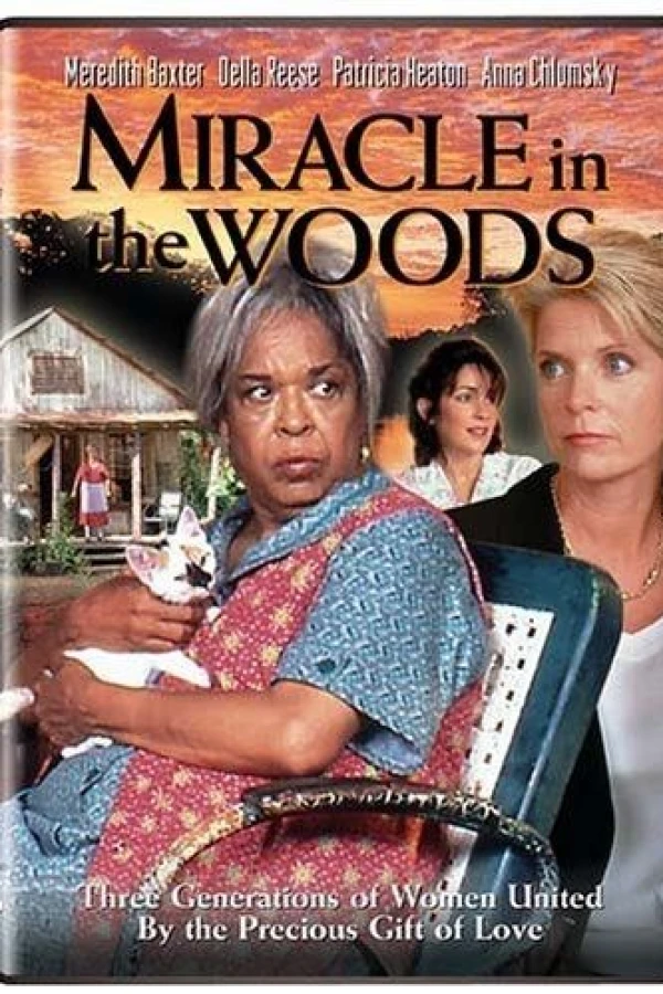 Miracle in the Woods Poster