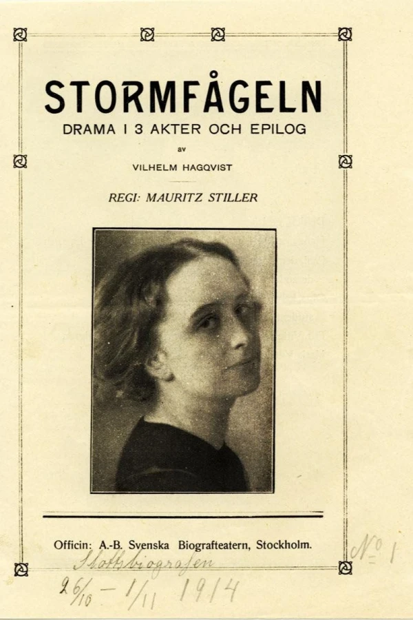 Stormfågeln Poster