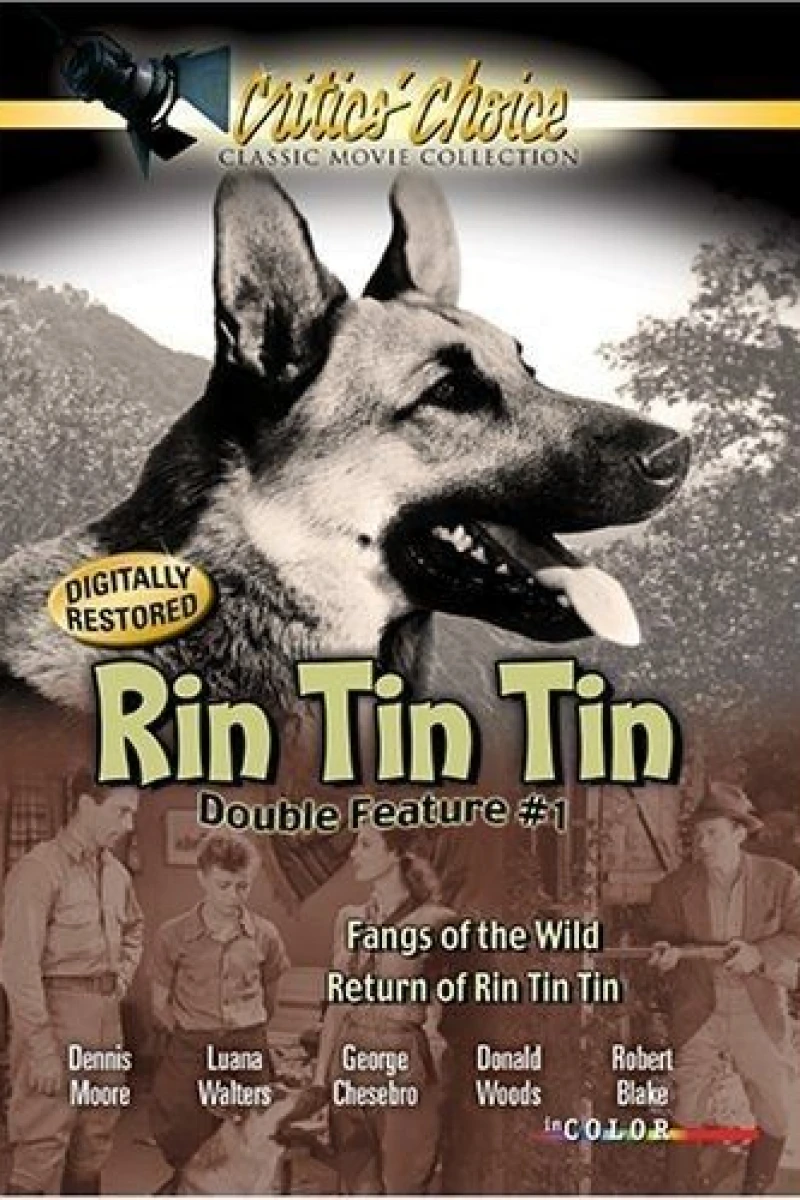 The Return of Rin Tin Tin Poster