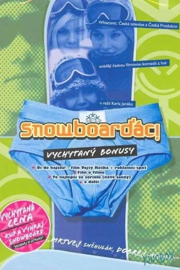 Snowboarders Poster