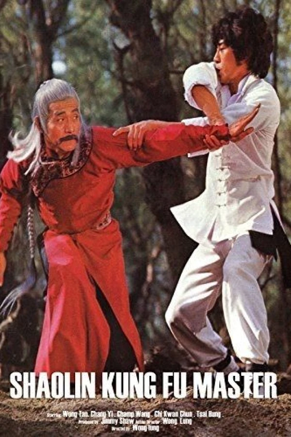 Shaolin Kung Fu Master Poster