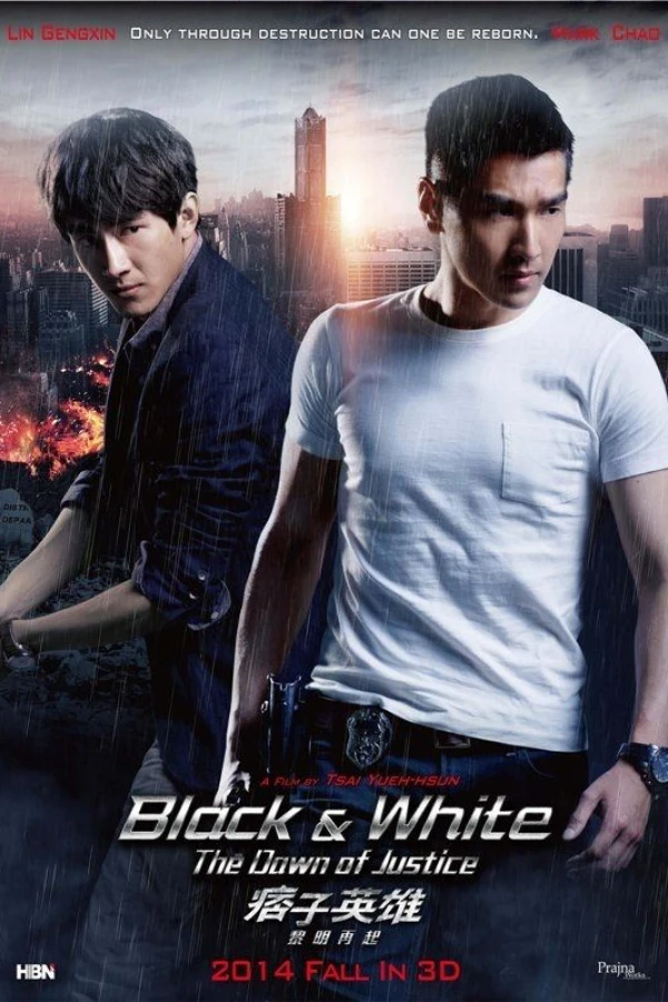 Black White The Dawn of Justice Poster