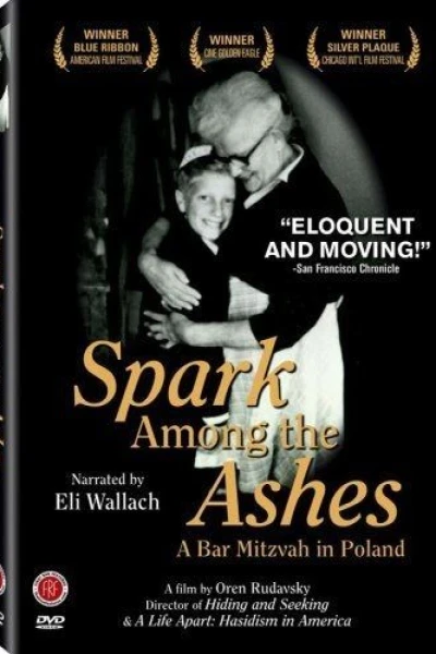Spark Among the Ashes: A Bar Mitzvah in Poland