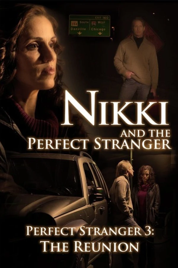 Nikki and the Perfect Stranger Poster