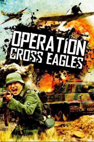 Operation Cross Eagles