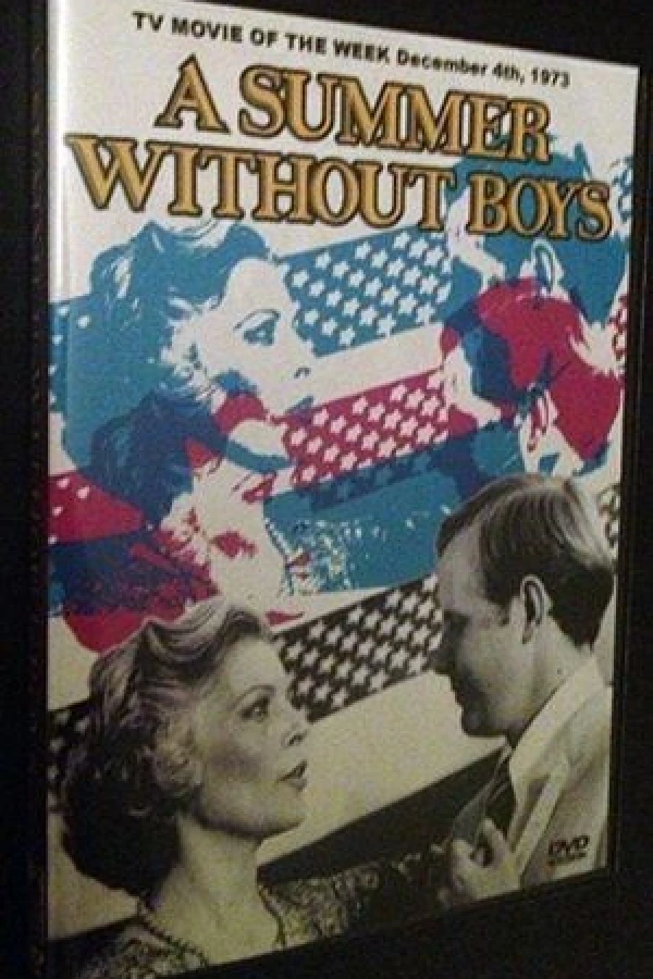 A Summer Without Boys Poster