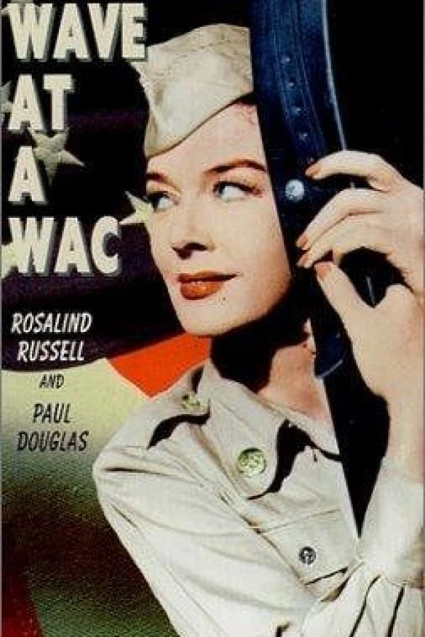 The Private Wore Skirts Poster