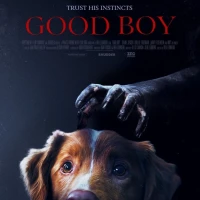 Good Boy