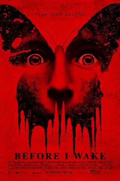 Before I Wake