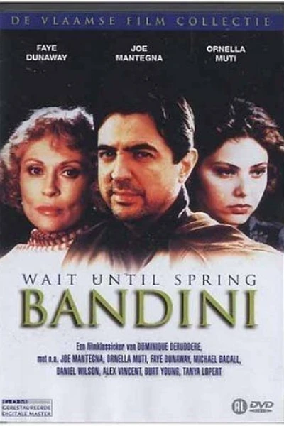 Wait Until Spring, Bandini