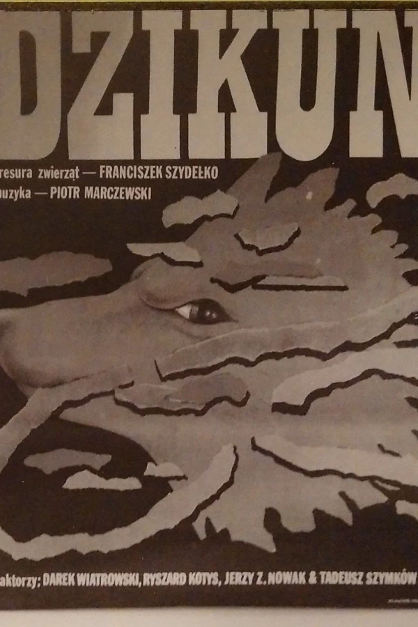 Dzikun Poster