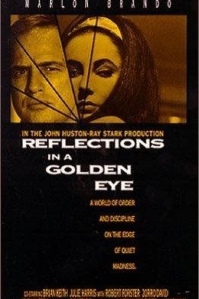 Reflections in a Golden Eye