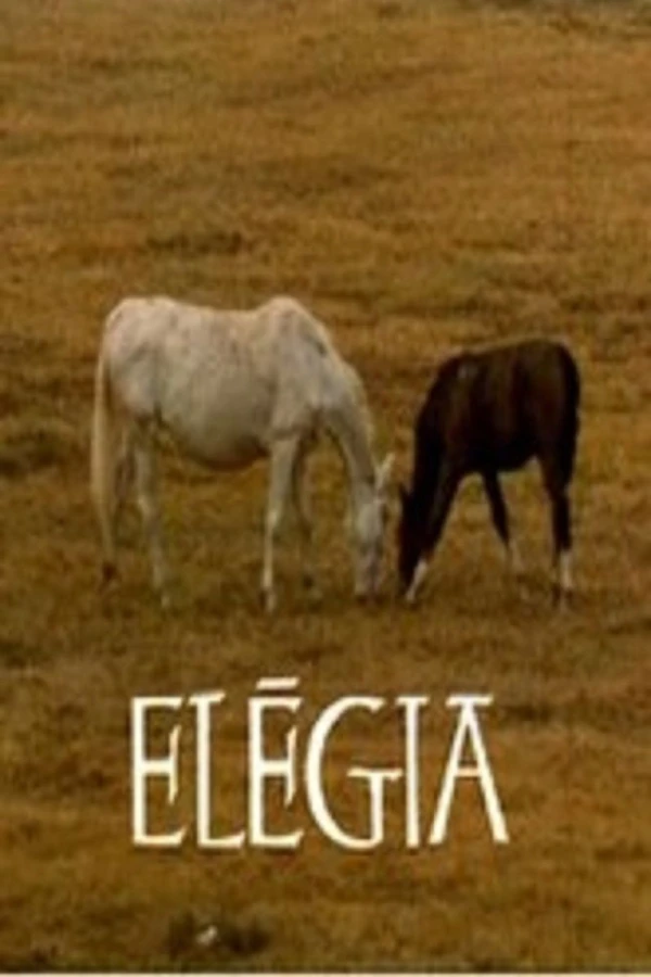 Elégia Poster