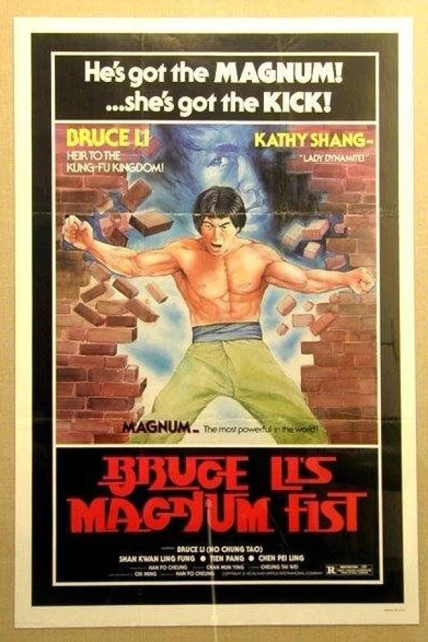 Bruce Lee's Magnum Fist Poster