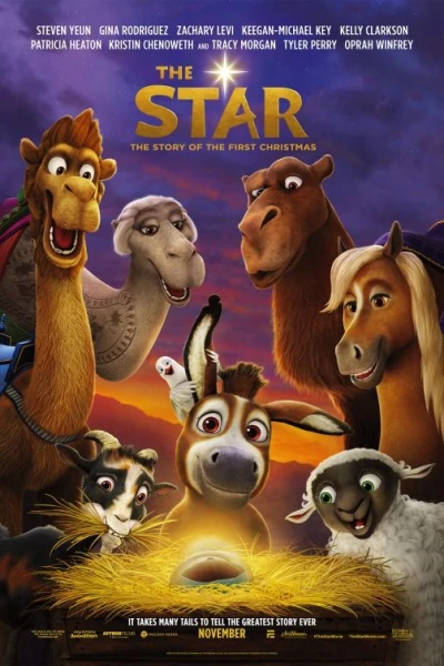 The Star Donkey