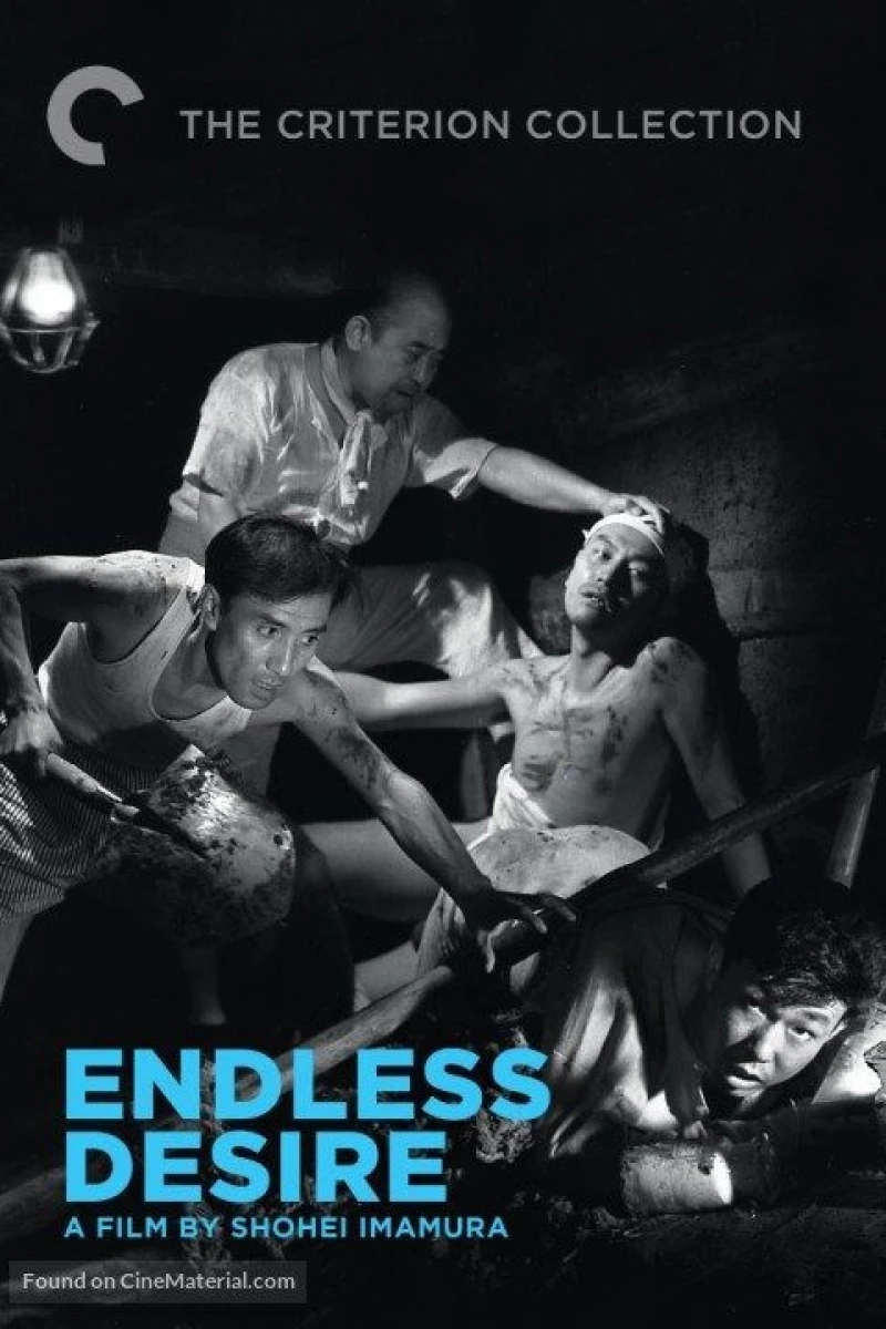 Endless Desire Poster