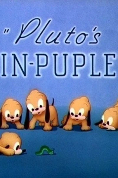 Pluto's Quin-puplets