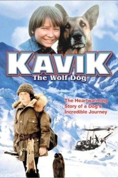 Kavik, the Wolf Dog