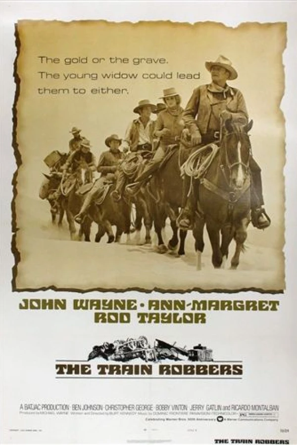 The Train Robbers Poster