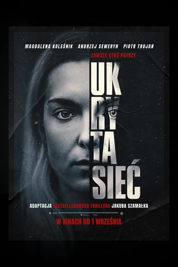 Ukryta siec Poster