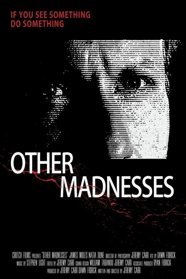 Other Madnesses Poster