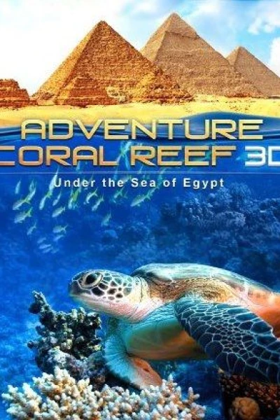 Adventure Coral Reef 3D Under the Sea of Egypt
