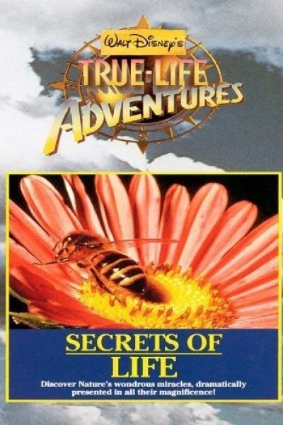 A True-Life Adventure: Secrets of Life