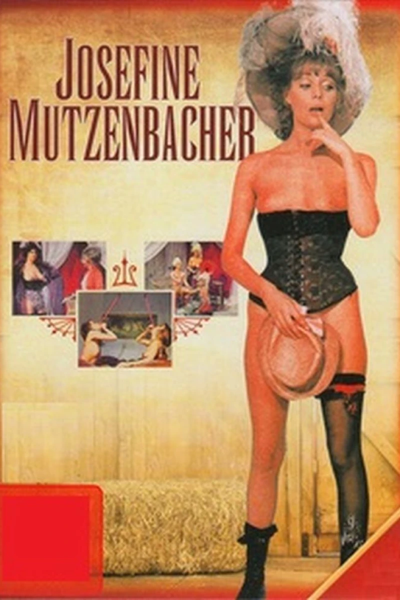 Diary of a 19th Century Joy Girl Poster