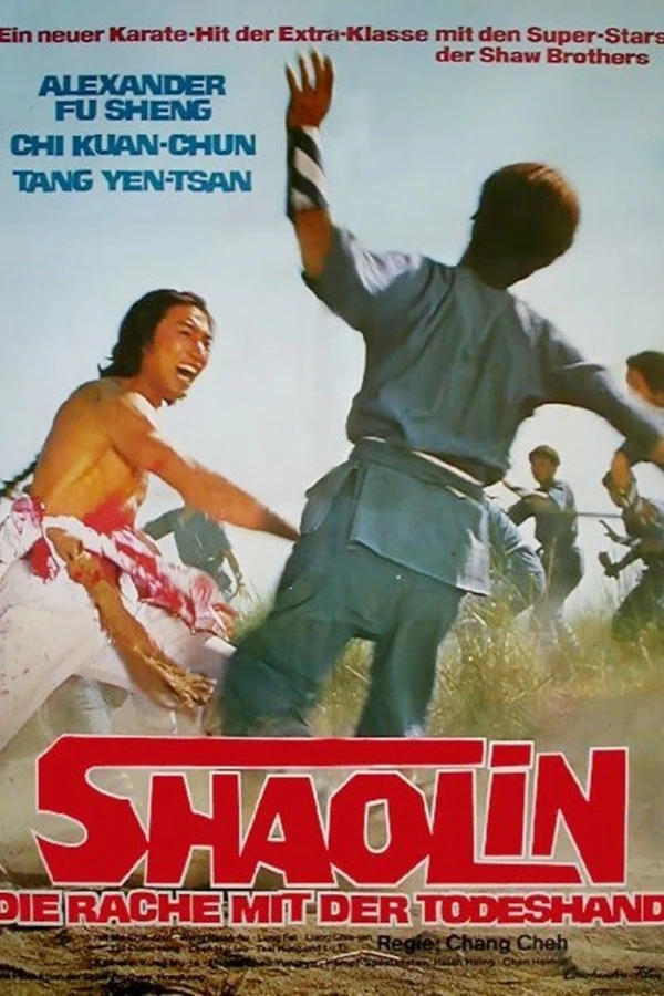 Invincible Kung Fu Brothers Poster
