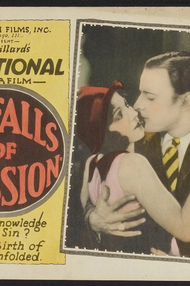 Pitfalls of Passion Poster