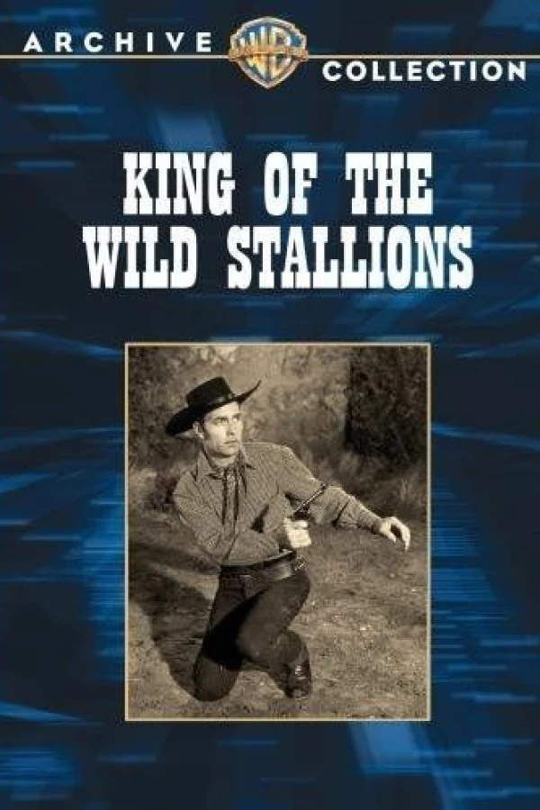 King of the Wild Stallions Poster