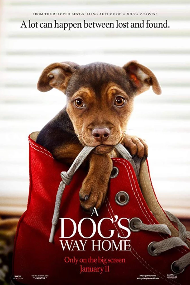 A Dogs Way Home Poster