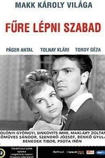 Füre lépni szabad