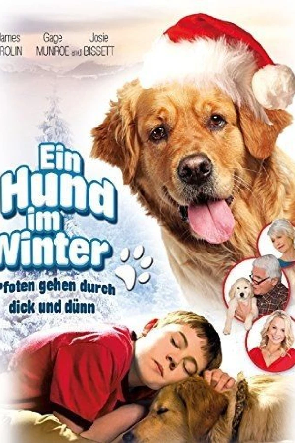 Christmas with Tucker Poster