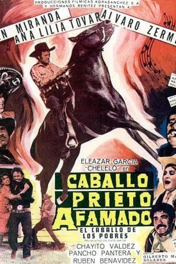 Caballo prieto afamado Poster